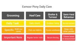 Daily Care and Management